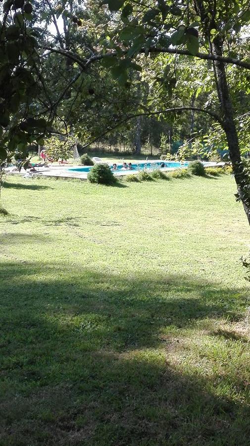 Hosteria Y Camping Del Bosque Pucón Extérieur photo