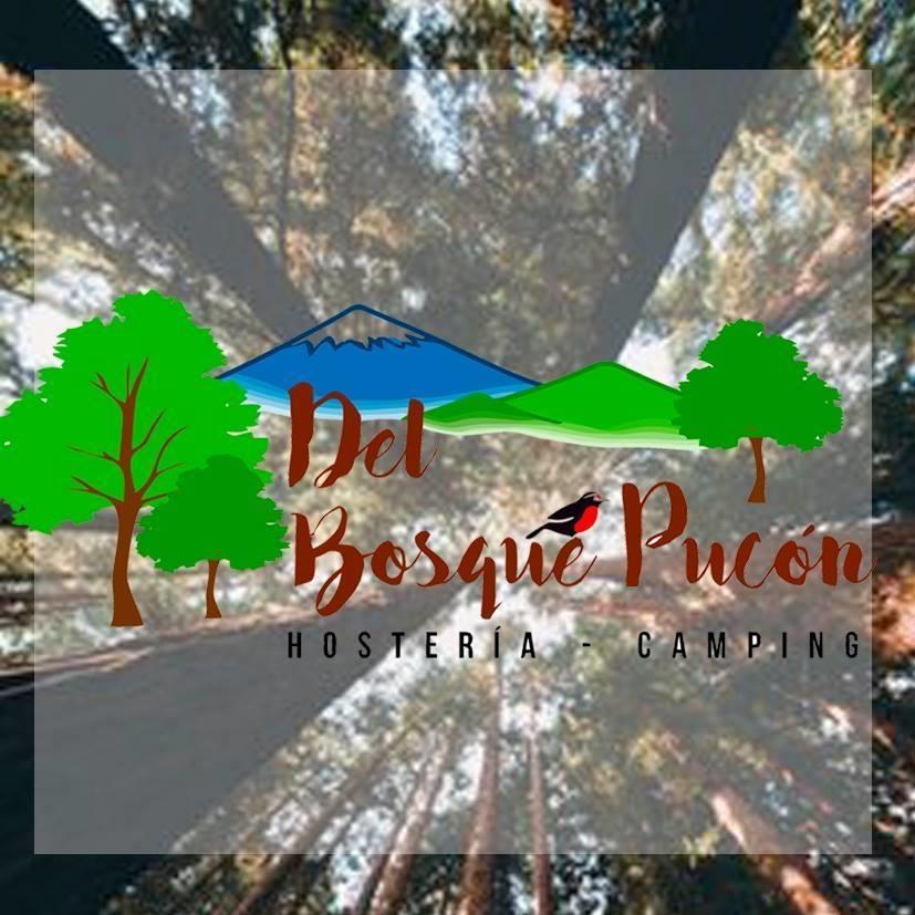 Hosteria Y Camping Del Bosque Pucón Extérieur photo