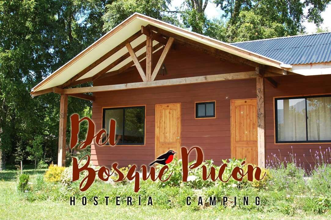 Hosteria Y Camping Del Bosque Pucón Extérieur photo