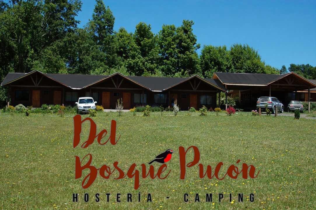 Hosteria Y Camping Del Bosque Pucón Extérieur photo