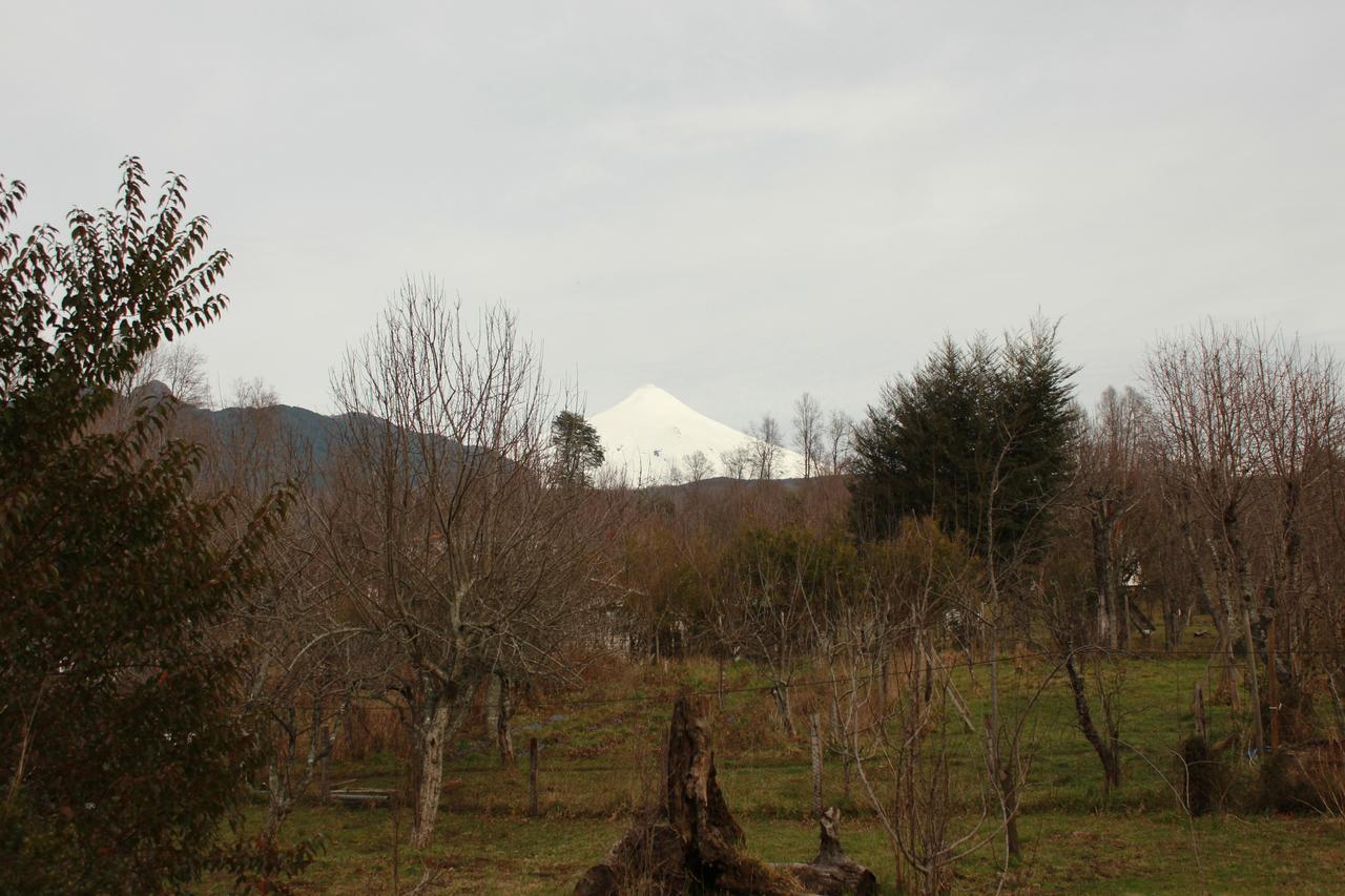 Hosteria Y Camping Del Bosque Pucón Extérieur photo